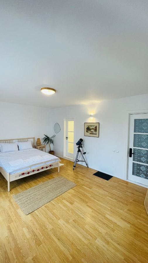 Biolocalia House Dobrogea Apartamento Balotesti Exterior foto